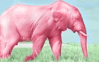 Prova a non immaginare un elefante rosa!