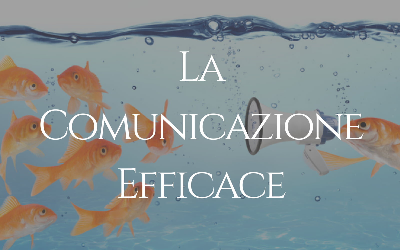 Corso online