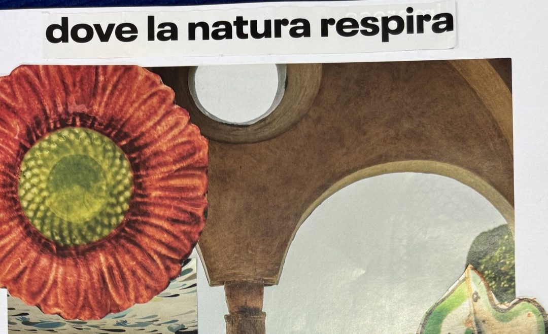 Metodo Autobiografico Creativo on life: l’attesa, la natura e il respiro