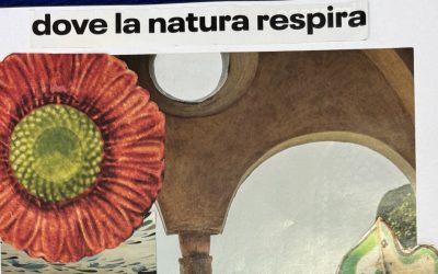 Autobiografia Creativa on life: la tregua, la natura e il respiro